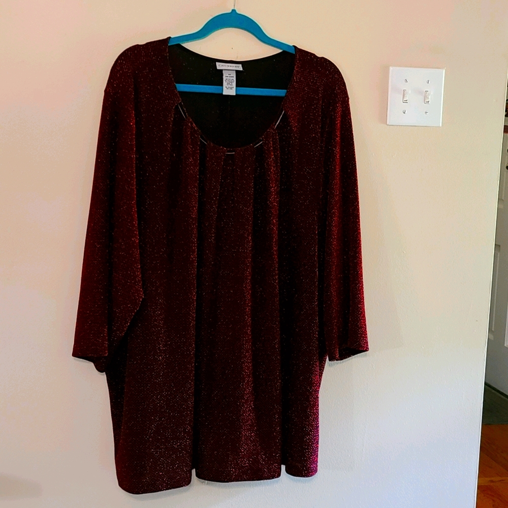 Elegant and dressy Plus Size Top